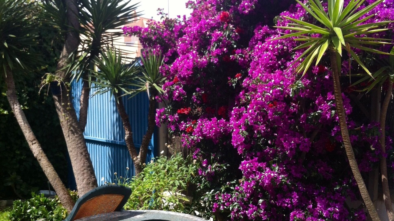 Photo of Outdoor in Tarifa