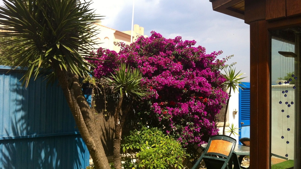 Photo of Outdoor in Tarifa