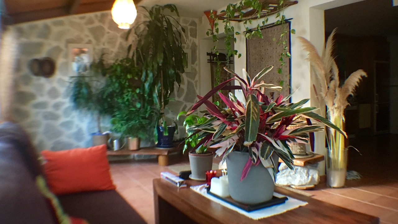 Photo of Livingroom in Tarifa
