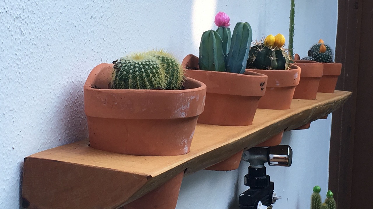 Photo of Kitchen in Tarifa