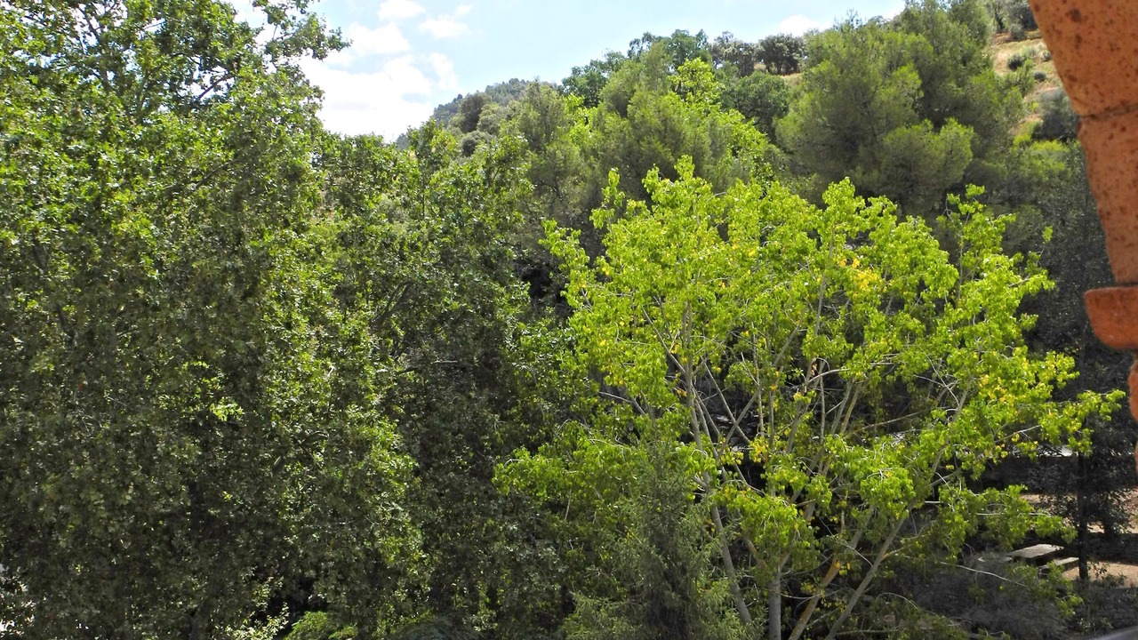 Photo of Outdoor in Torroja del Priorat