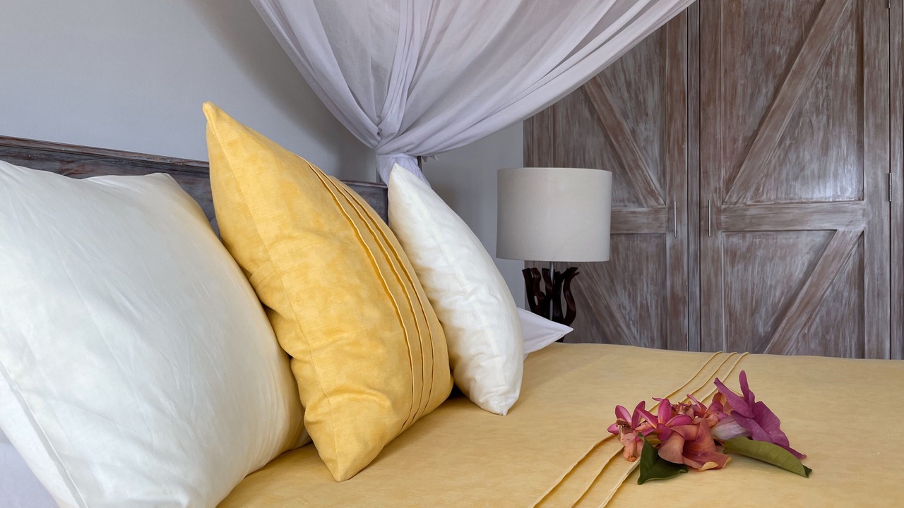 Photo of Bedroom in Anse Royale