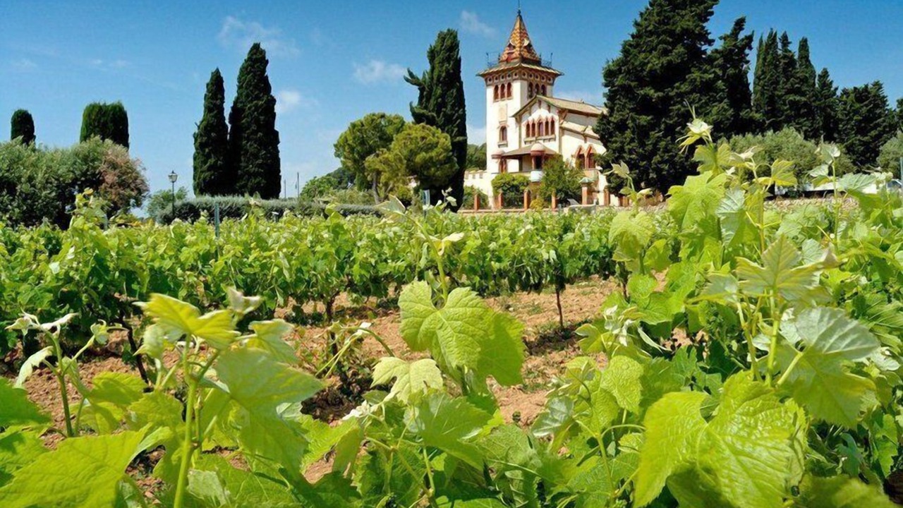 Photo of Outdoor in Les Borges del Camp