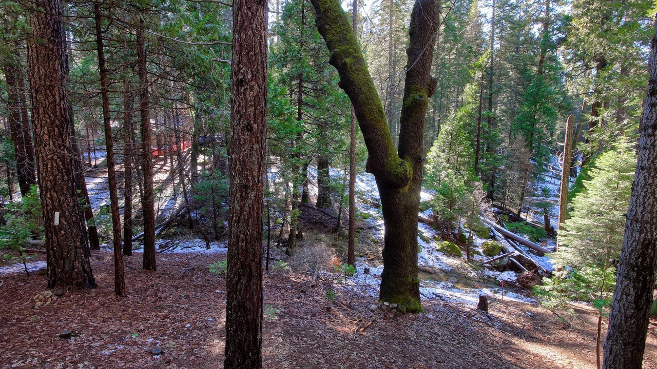 Photo of Others in North Wawona