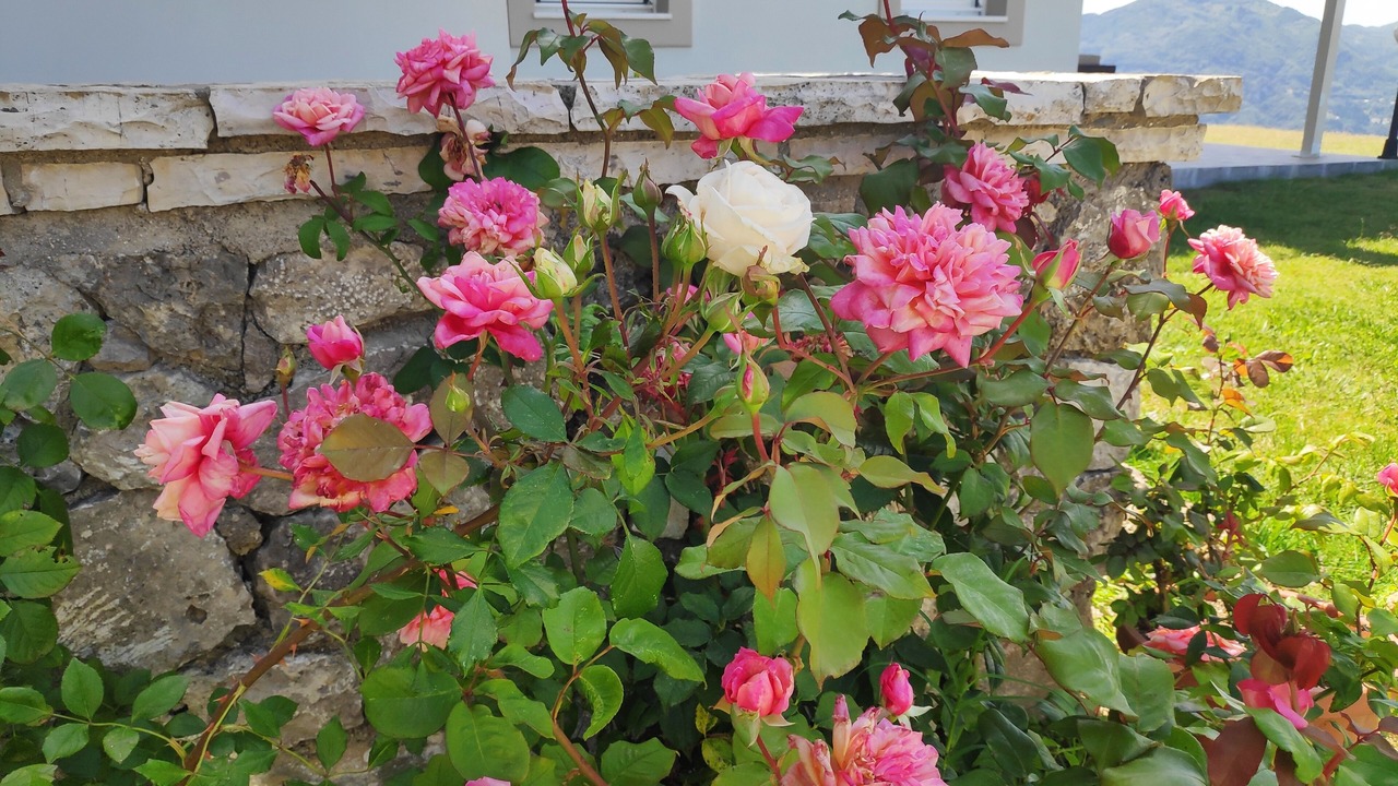 Photo of Outdoor in Sinarades