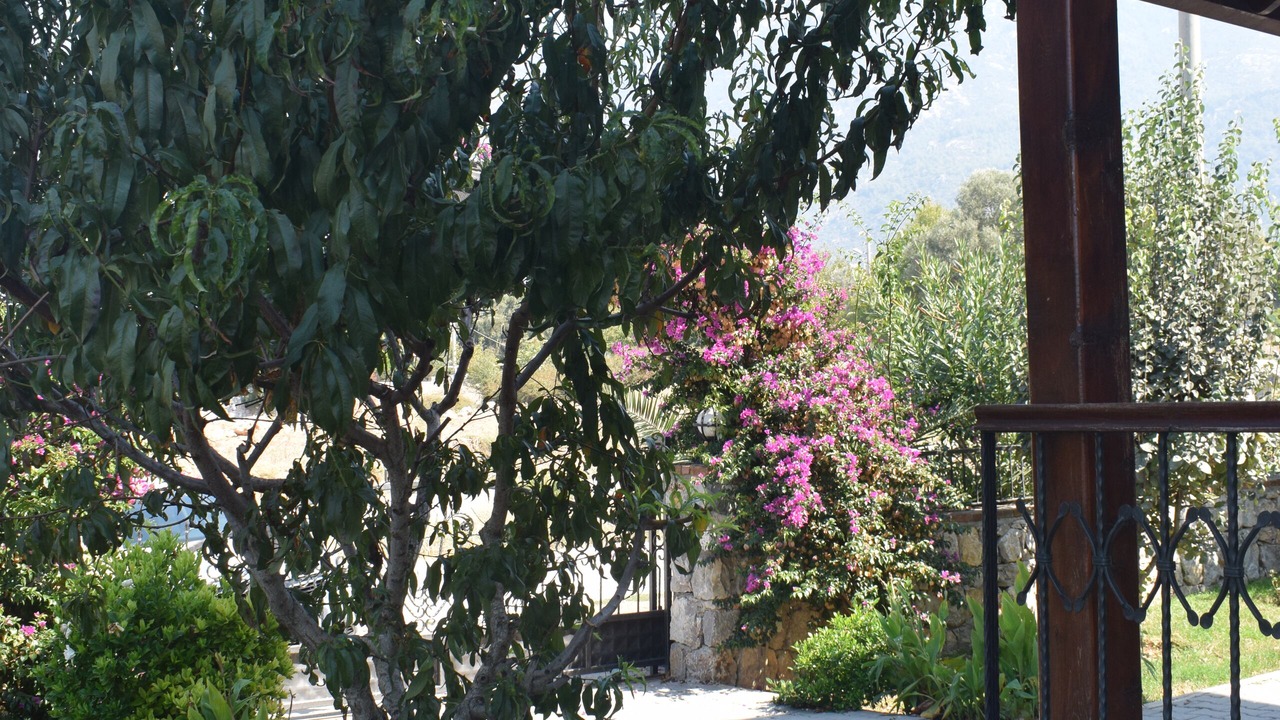 Photo of Outdoor in Hisaronu