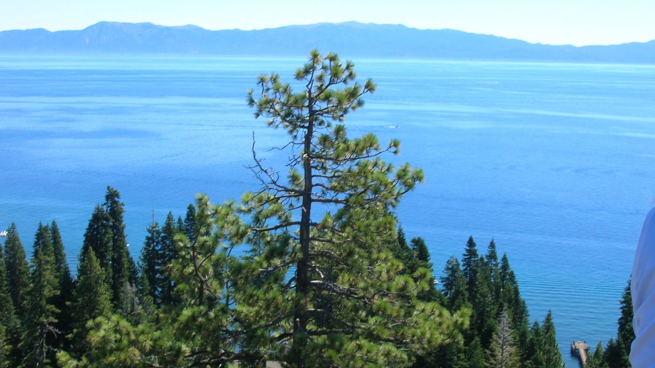 Photo of Others in Tahoe Pines