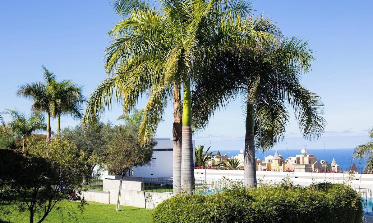 Photo of Outdoor in Santa Ursula