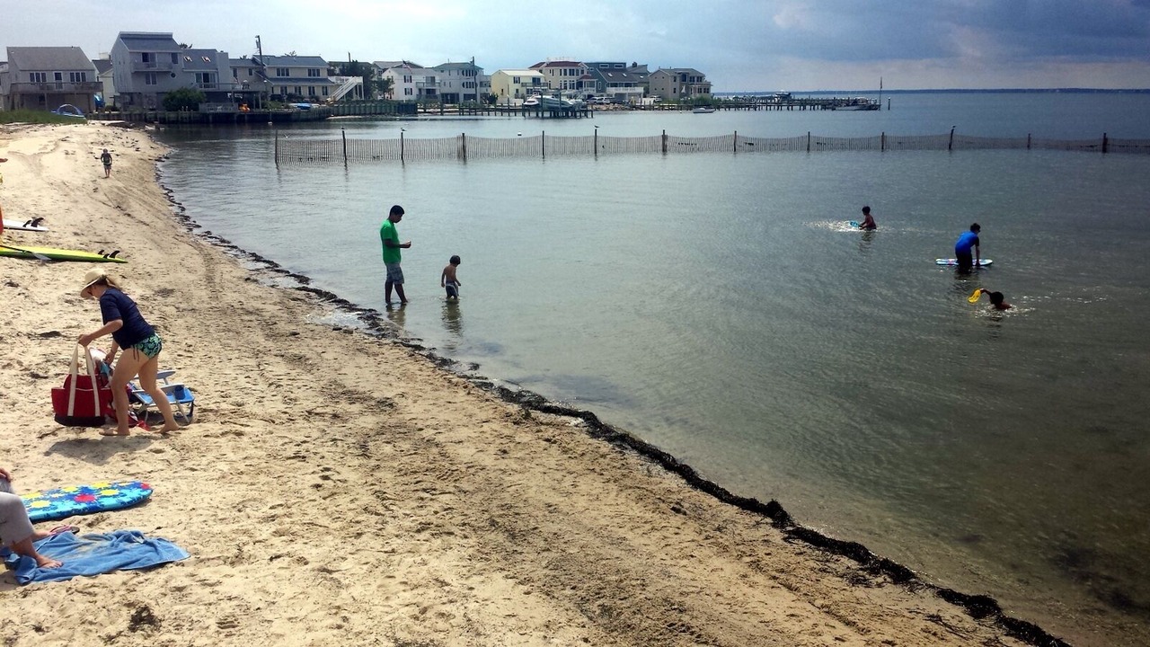 Photo of Others in North Beach Haven