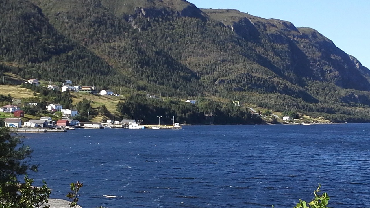 Photo of Others in Woody Point