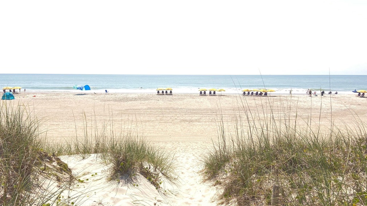 Photo of Others in North Carolina Coast