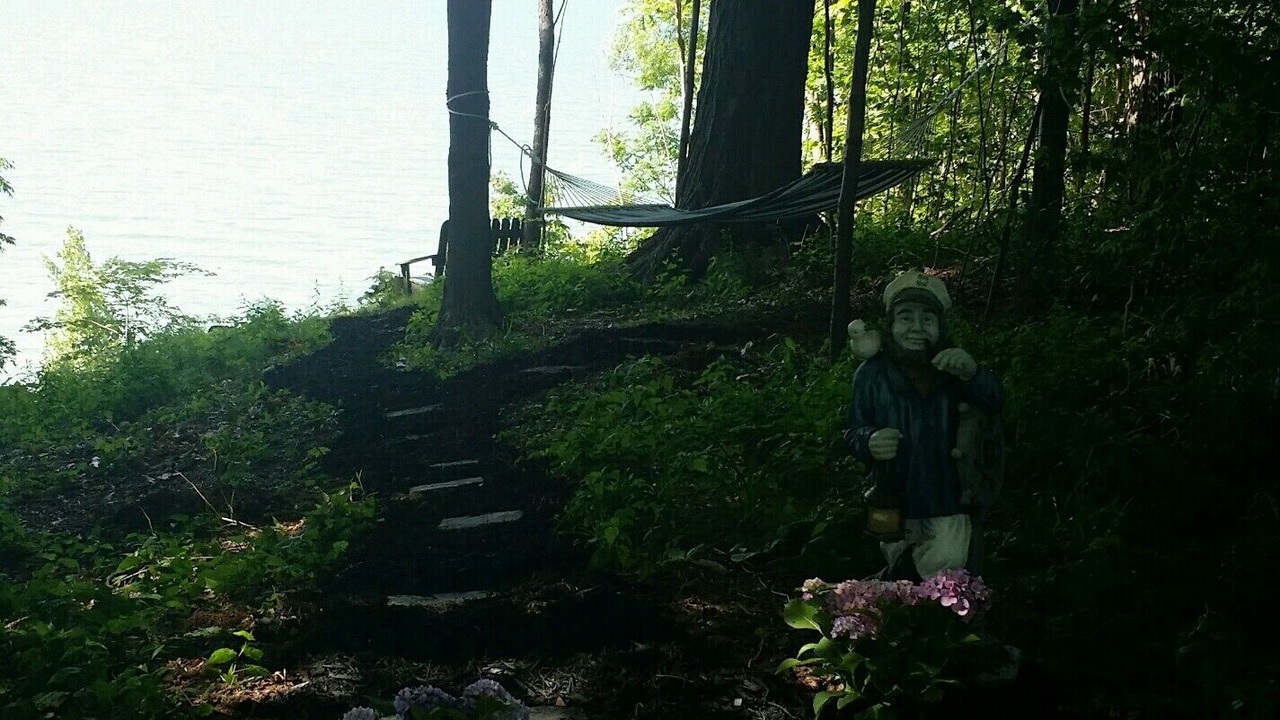 Photo of Outdoor in Lake City