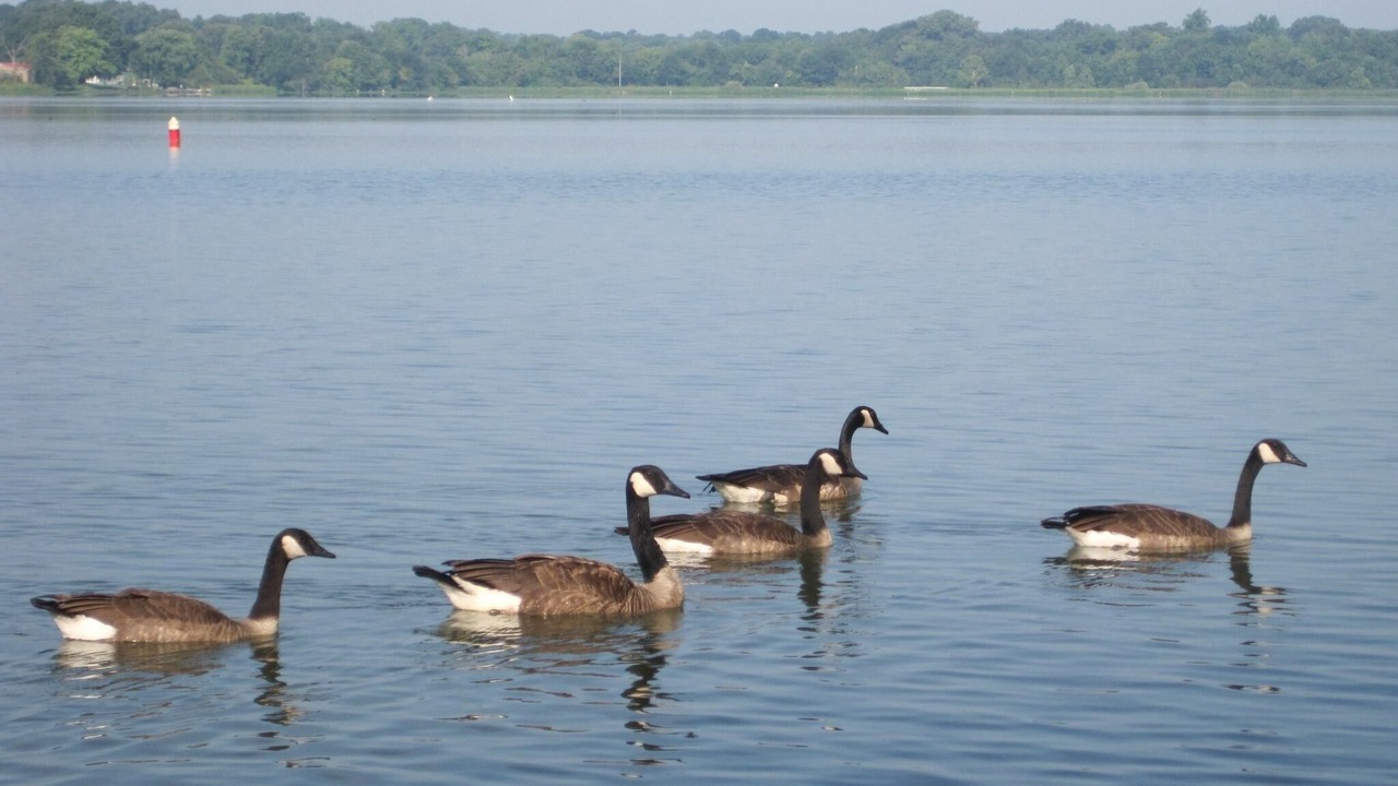 Photo of Others in Town Creek