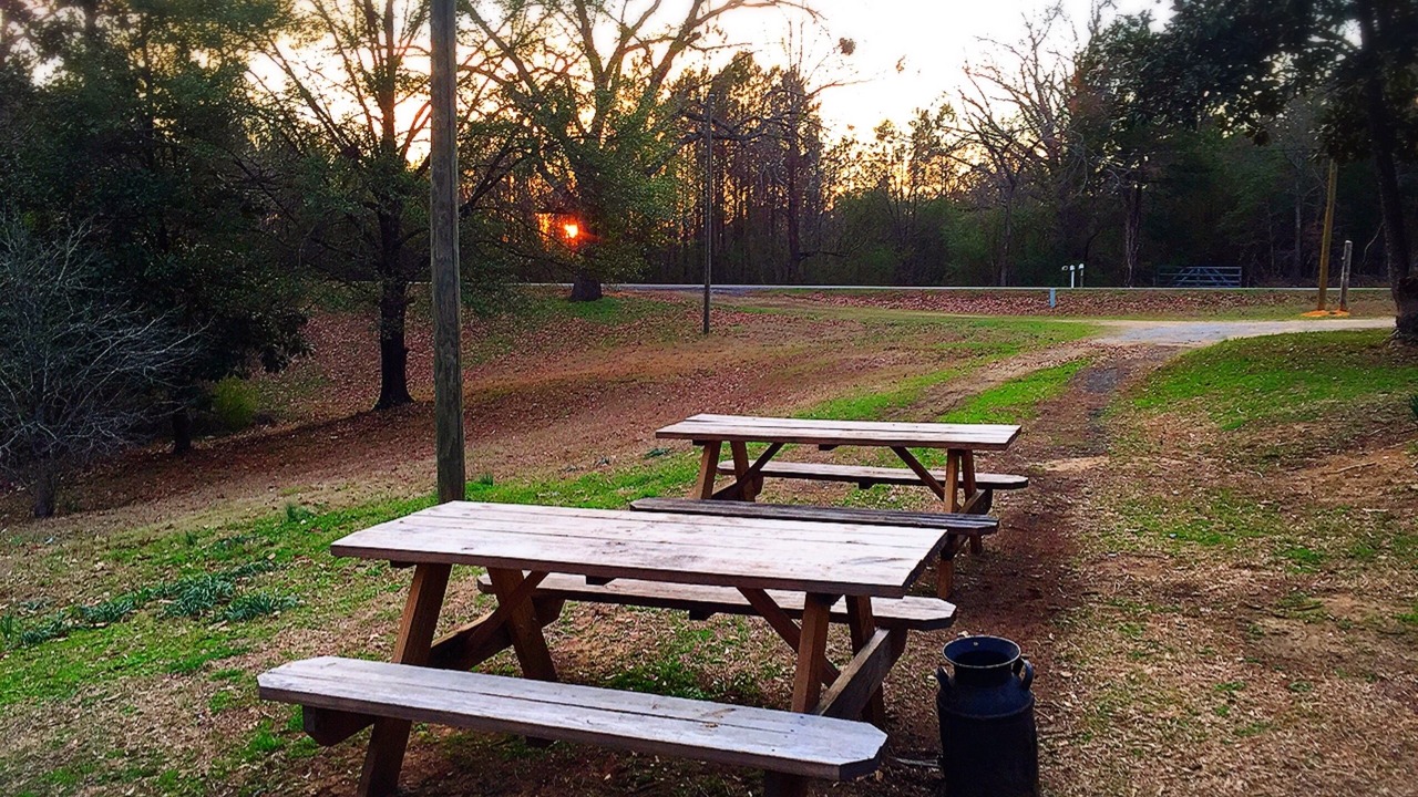 Photo of Outdoor in Elrod