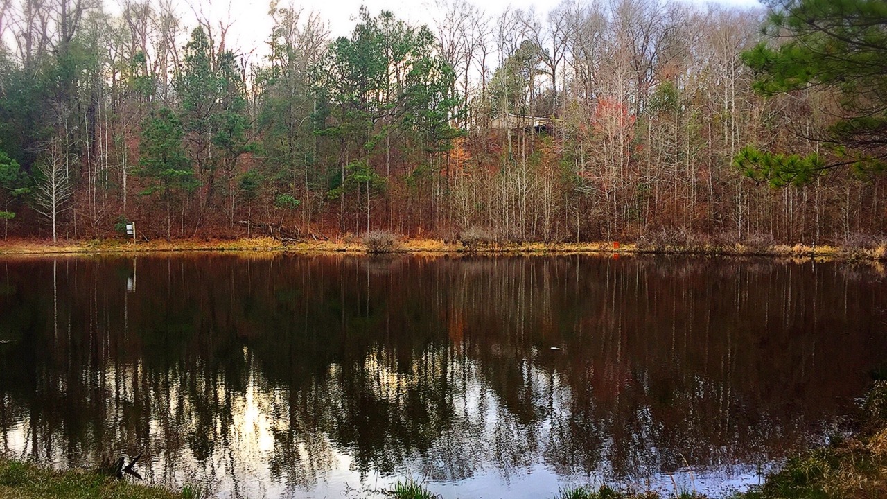Photo of Outdoor in Elrod
