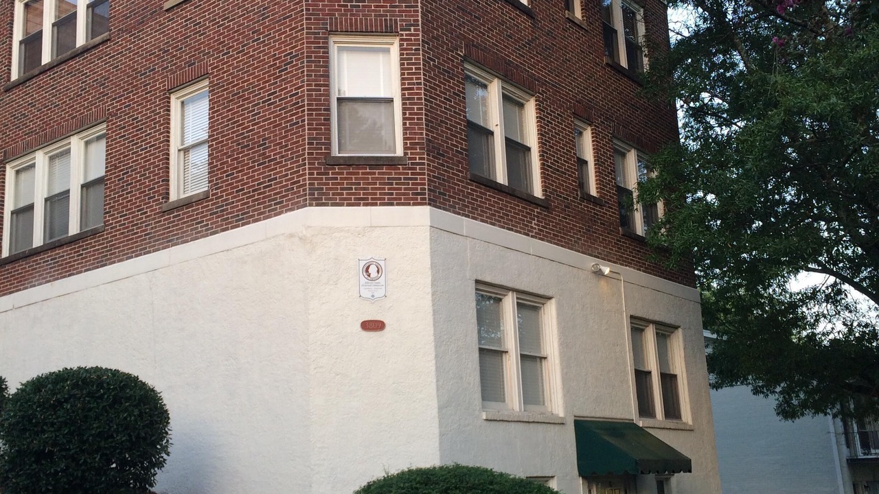 Photo of Outdoor in Forest Park
