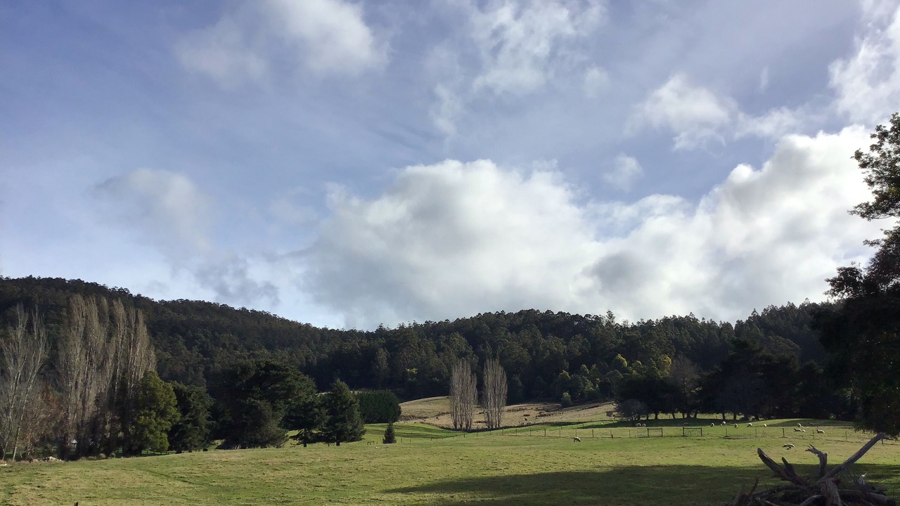 Photo of Others in Castle Forbes Bay