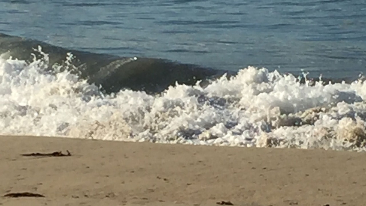 Photo of Others in Huntington Beach