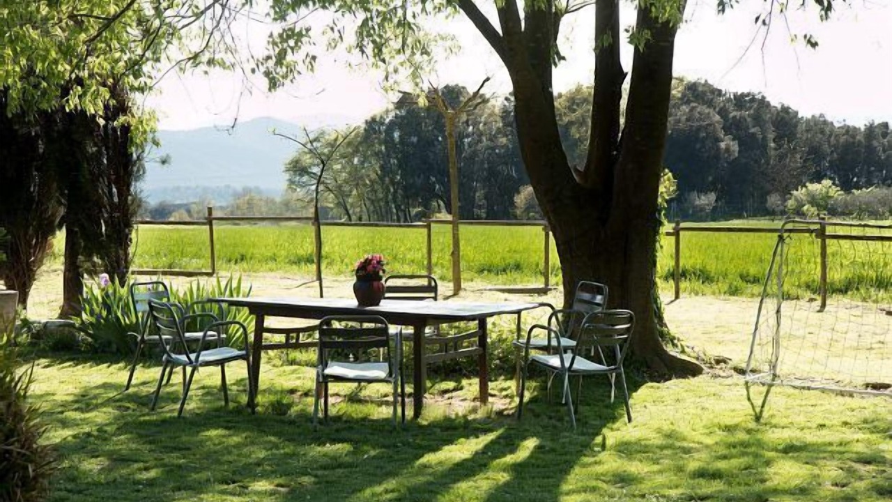 Photo of Outdoor in Maia de Montcal