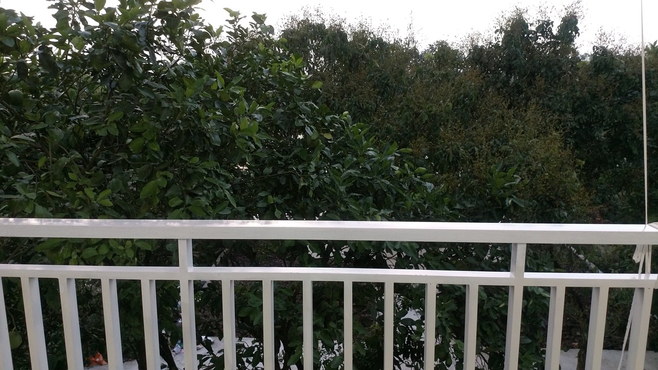 Photo of Outdoor in Hoa Lu