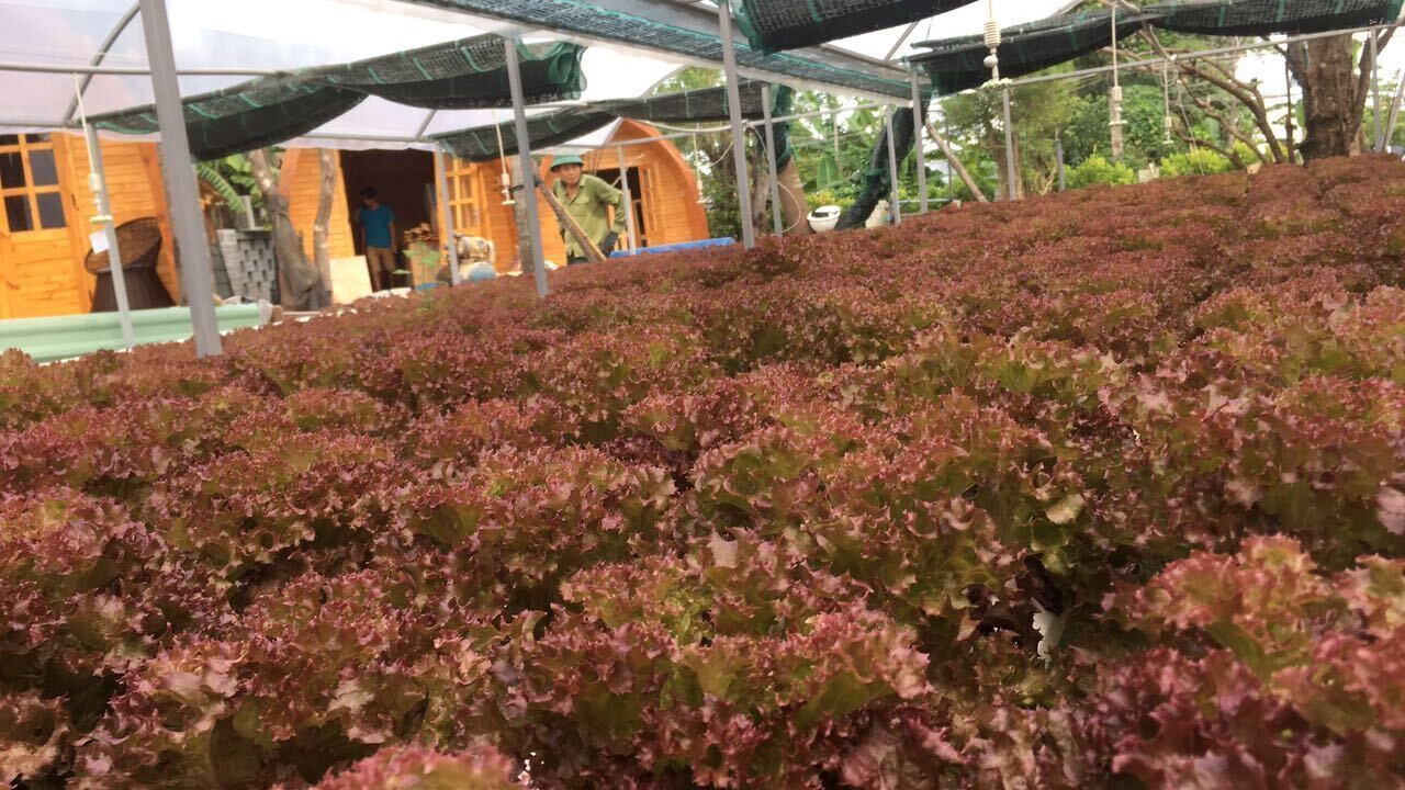 Photo of Outdoor in Cam Thanh