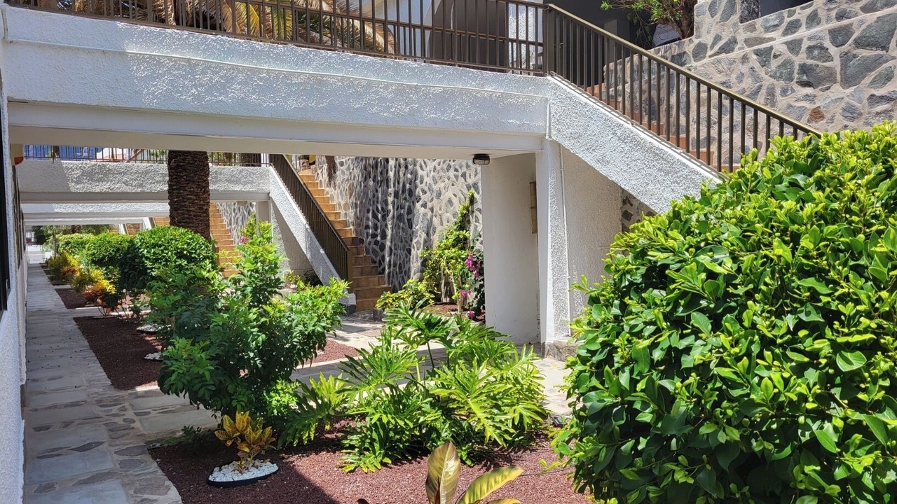 Photo of Outdoor in Los Gigantes
