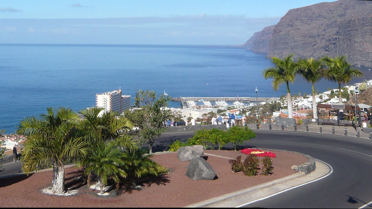 Photo of Others in Los Gigantes