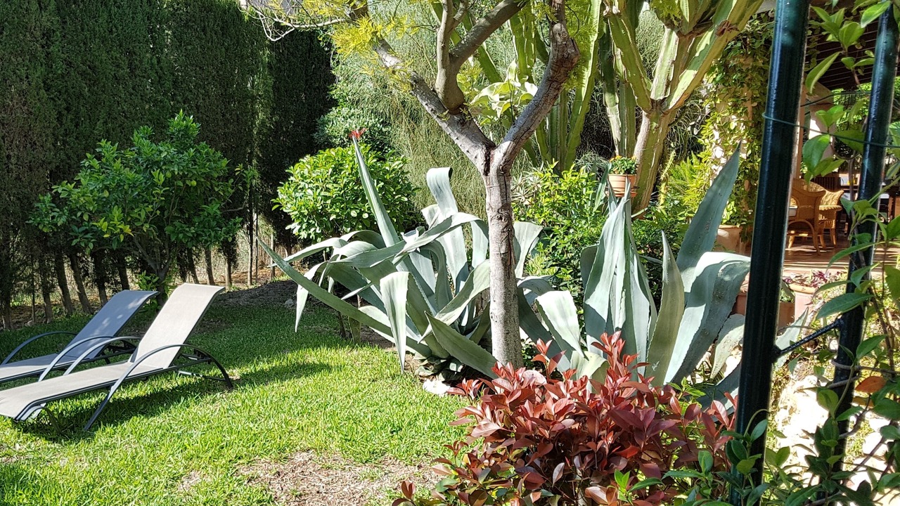 Photo of Outdoor in S'Arraco