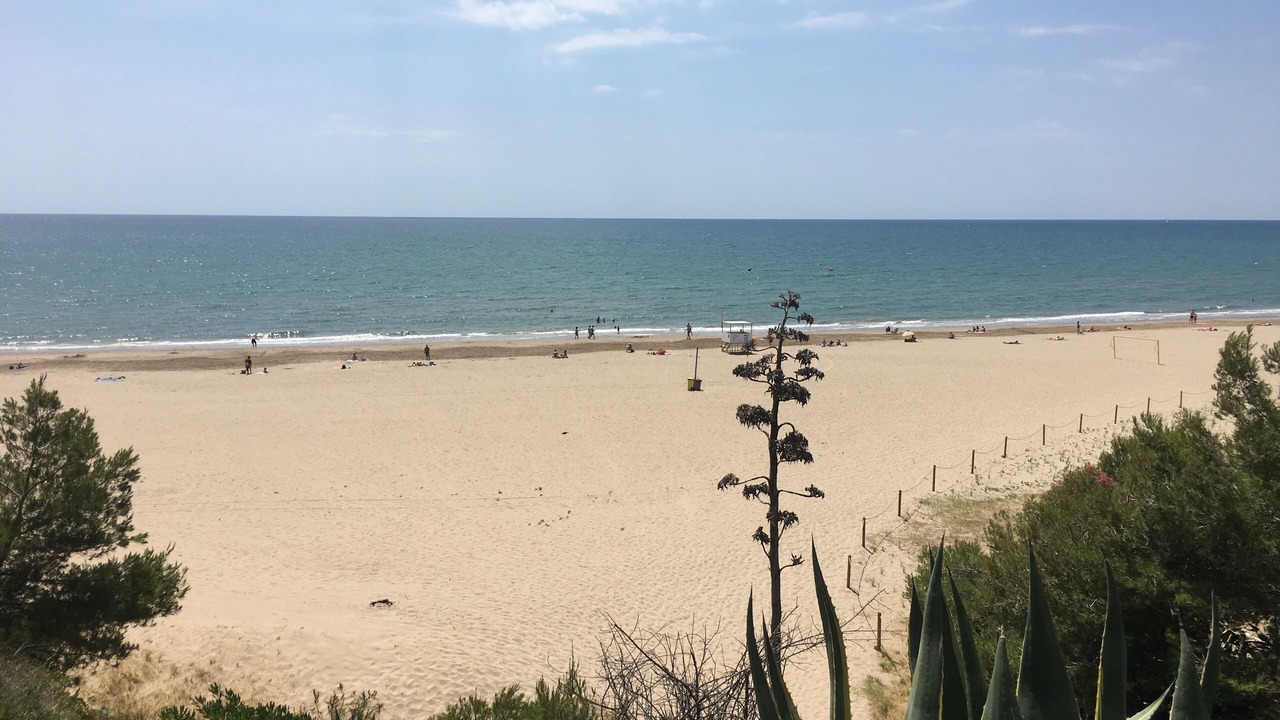 Photo of Others in Vilanova I la Geltru