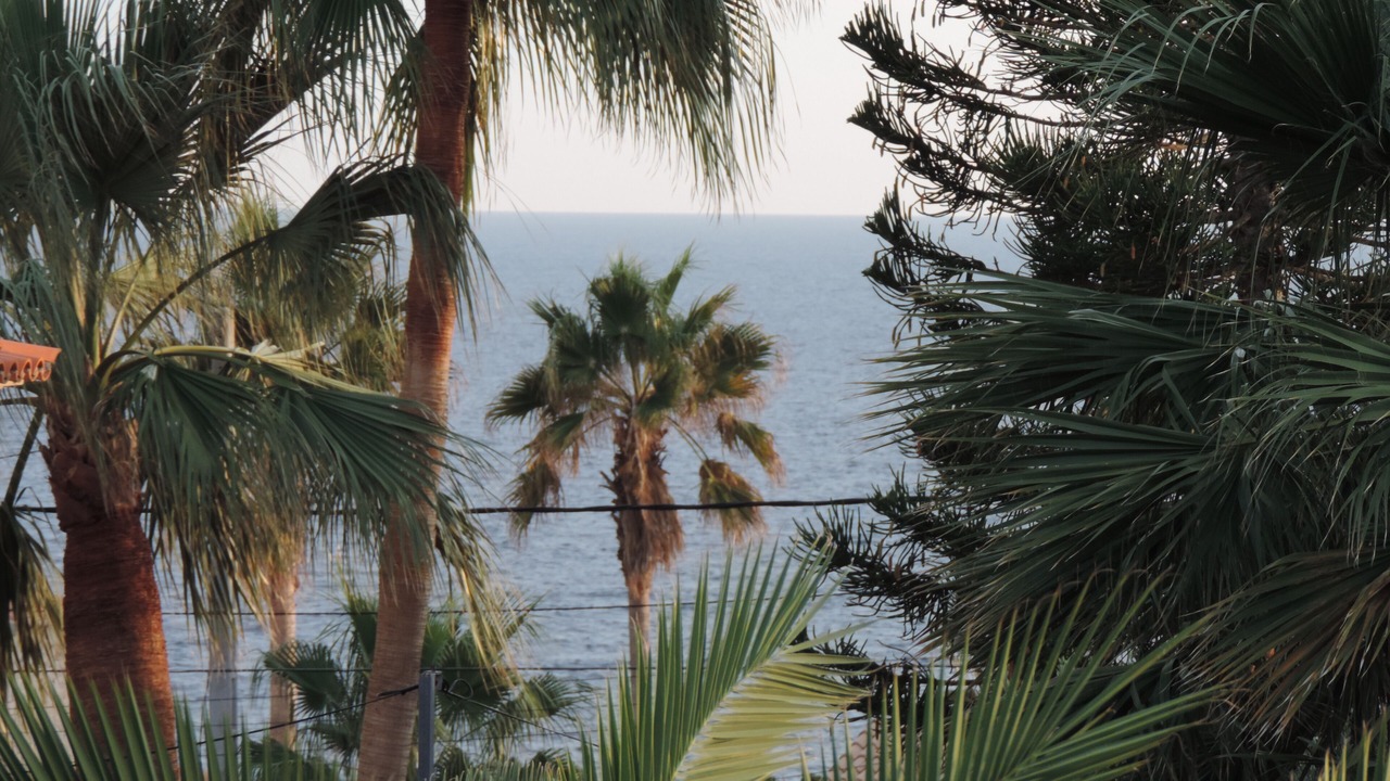 Photo of Outdoor in Cala Pi