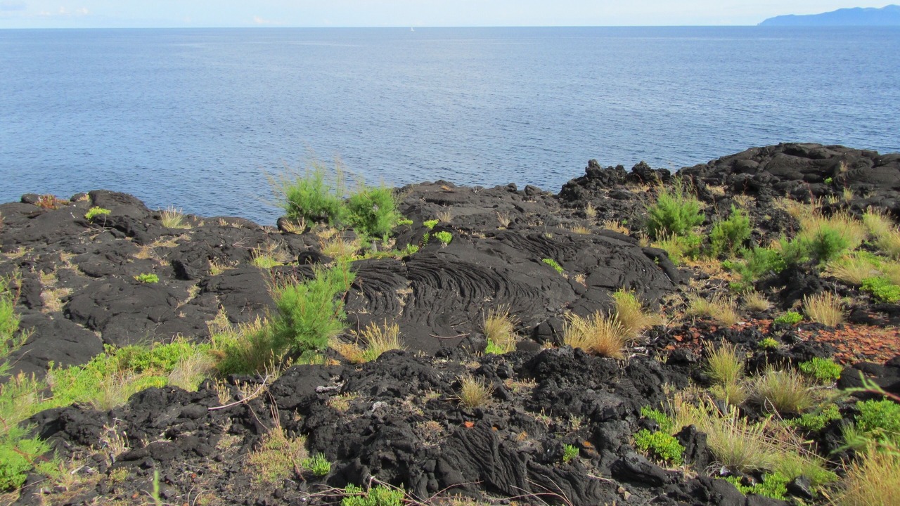 Photo of Outdoor in Pico