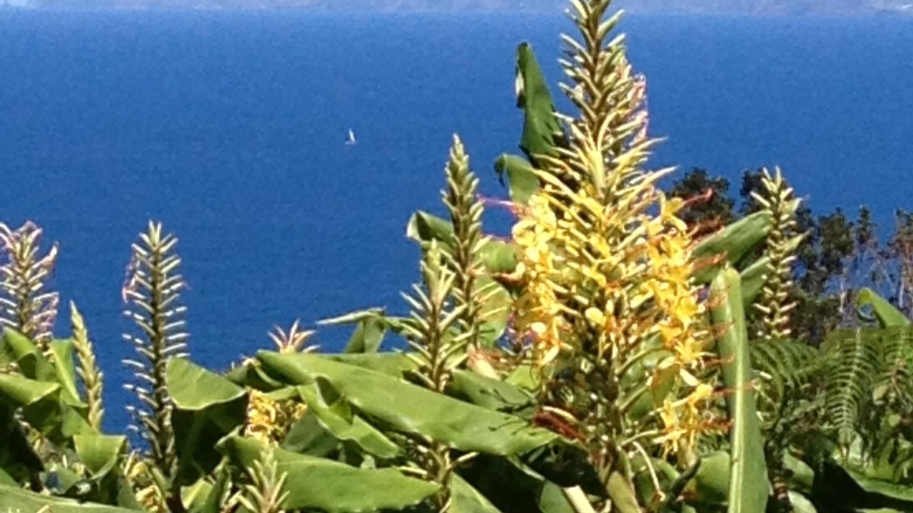 Photo of Outdoor in Pico