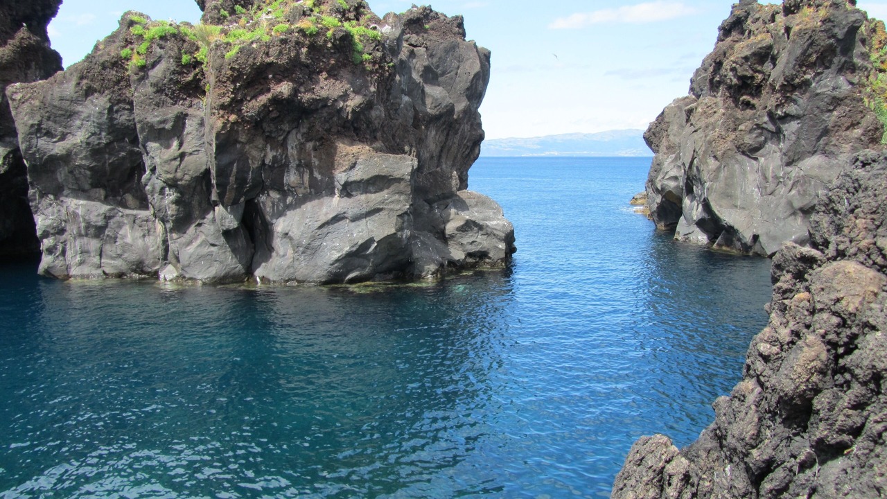 Photo of Others in Pico
