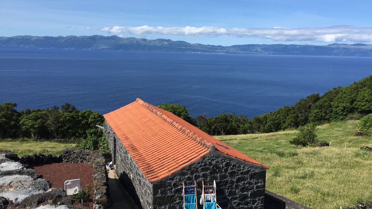 Photo of Others in Pico