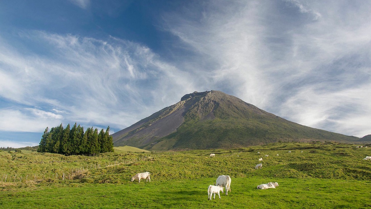 Photo of Outdoor in Pico