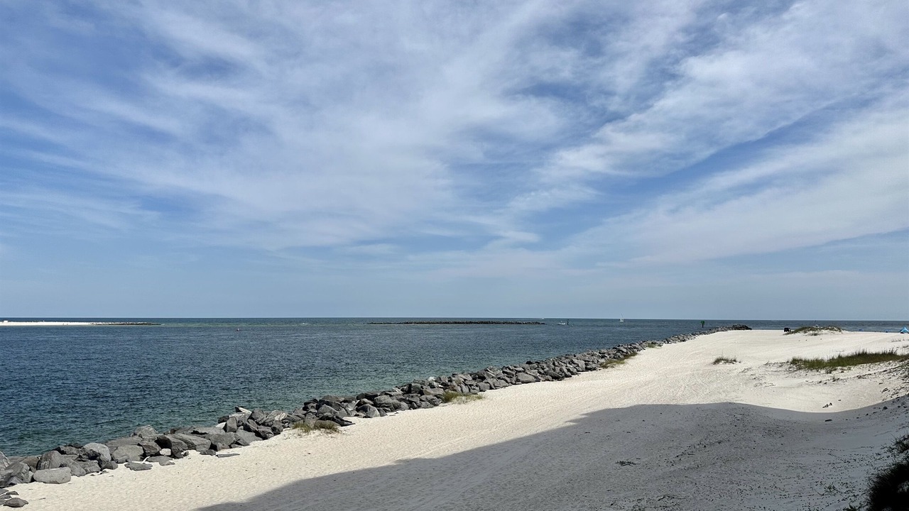 Photo of Others in Orange Beach