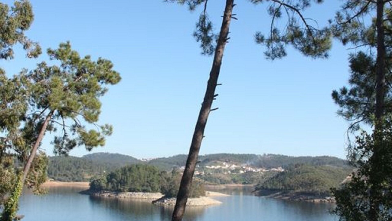 Photo of Others in Tomar