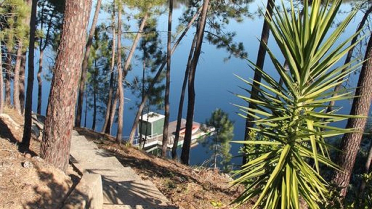 Photo of Outdoor in Tomar