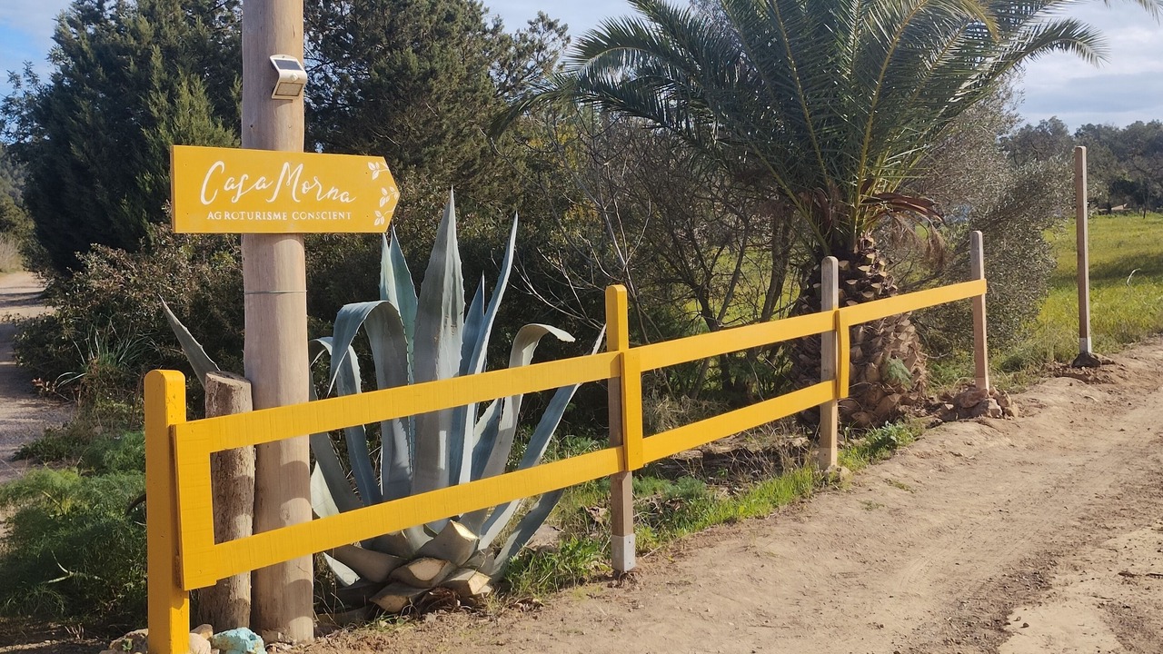 Photo of Outdoor in Sant Carles de Peralta