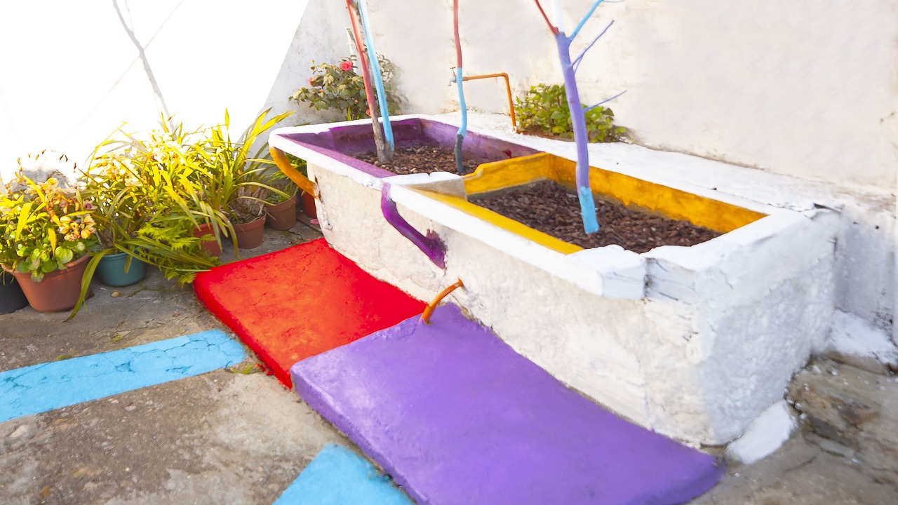 Photo of Outdoor in Mafamude