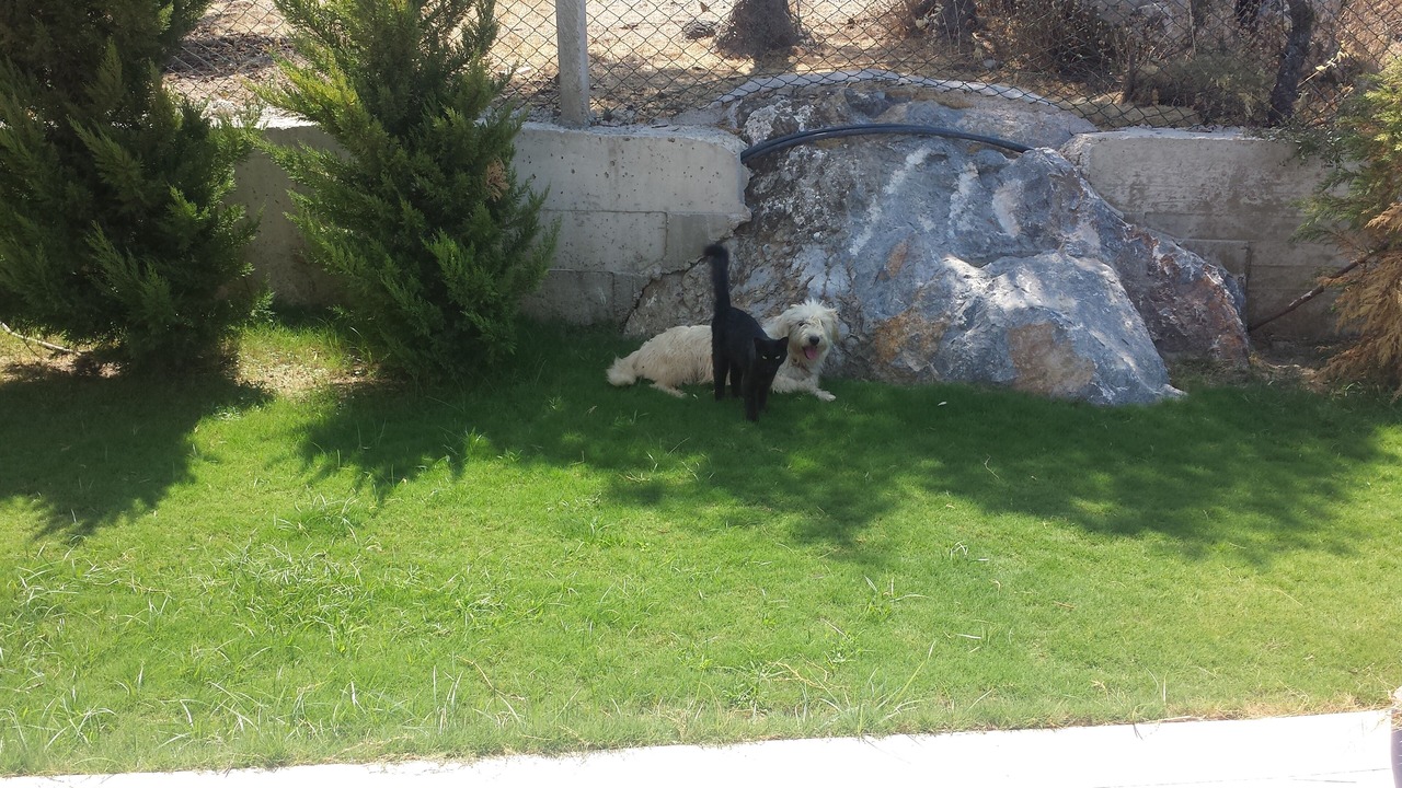 Photo of Outdoor in Sigacık