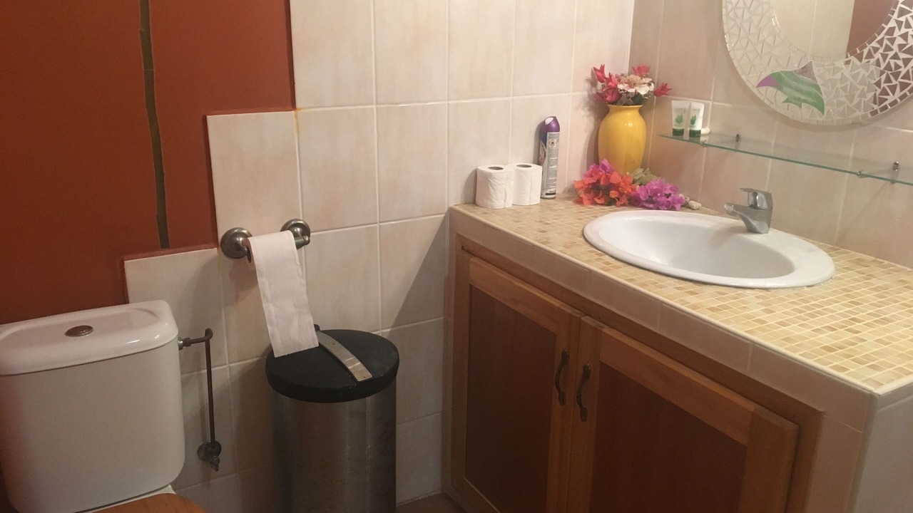 Photo of Bathroom in Paea