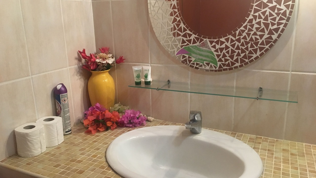 Photo of Bathroom in Paea