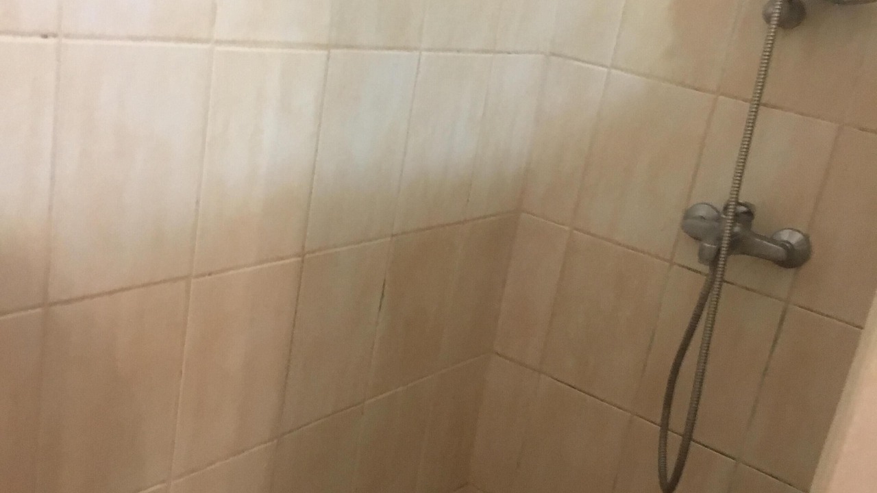 Photo of Bathroom in Paea