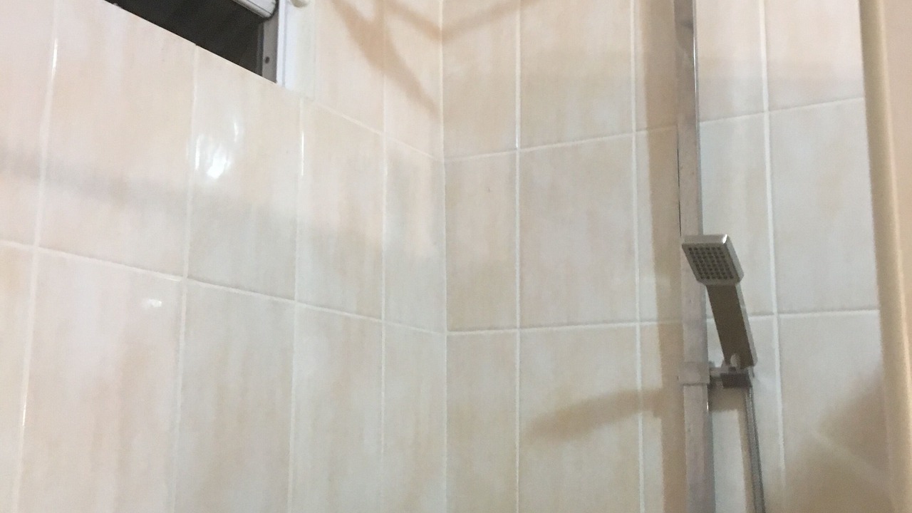 Photo of Bathroom in Paea