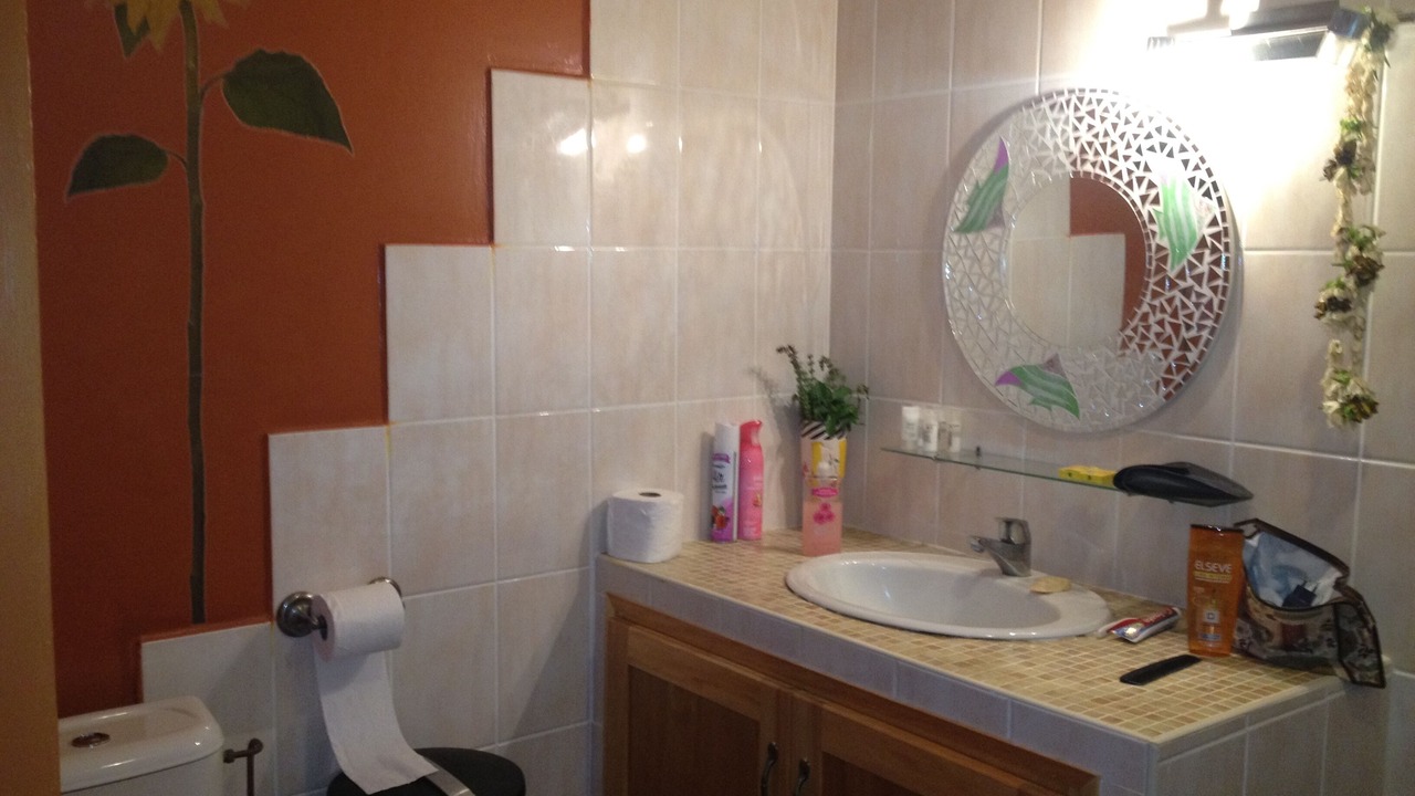 Photo of Bathroom in Paea