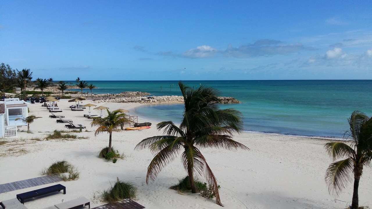 Photo of Others in Palm Cay