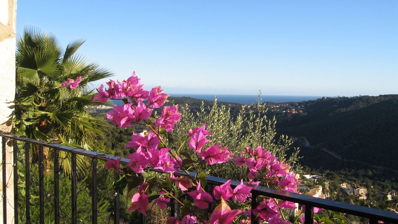 Photo of Outdoor in Calonge