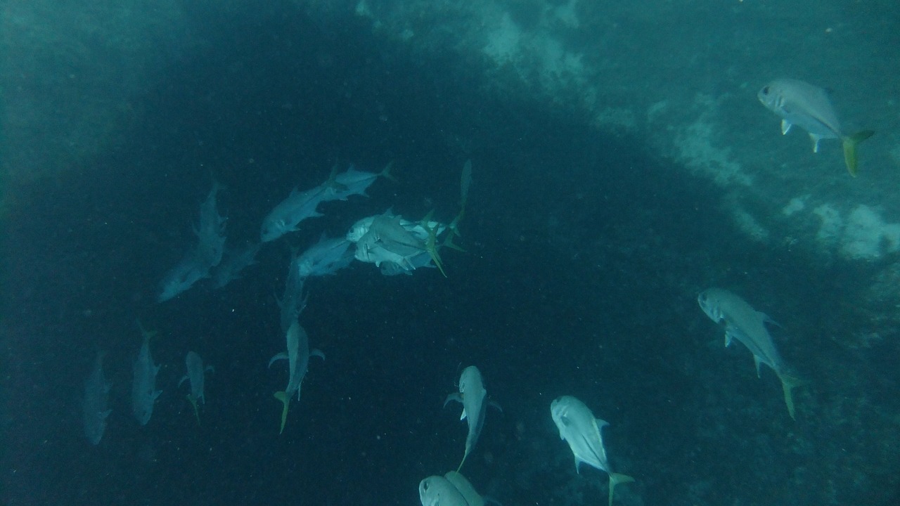Photo of Others in Great Exuma