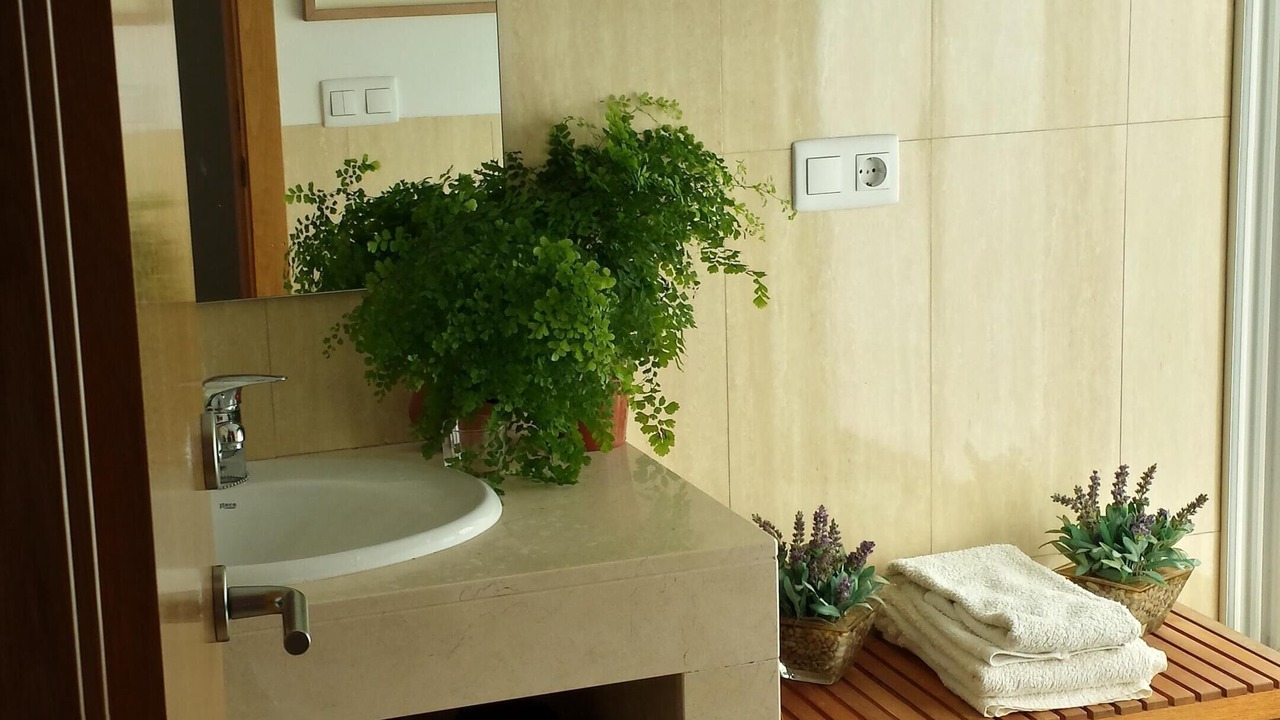 Photo of Bathroom in Molinell